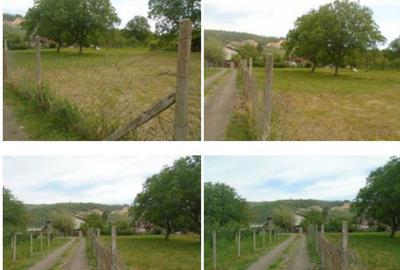 Teren intravilan loc. Brosteni, judetul Vrancea - 1