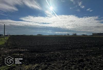 Oportunitate deosebita! Teren 4000 mp, intravilan, Sanpaul - 2