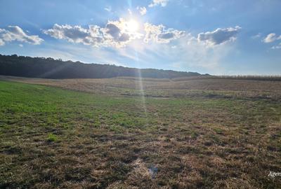1 ha teren zona Curtesti - Bucovina 1 ha teren zona Curtesti - Bucovina - 1