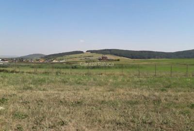 Teren de 5050 mp, în Exterior Vest