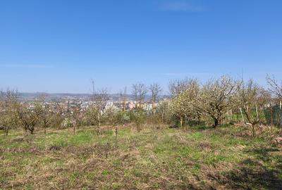 Teren extravilan de 2600 mp, în Budiului - 7