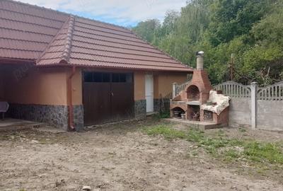 Casă cu 5 camere cu Teren 200000 Mp în Șerel - 8