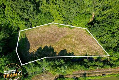 Teren Construcții extravilan de 2737 mp, în Dobârlău - 4