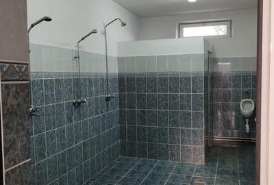 Inchiriere platforma betonata de 10000mp, pret 2euro/mp - 5