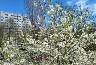 Apartament cu 2 camere semidecomandat, mobilat în Pajura - 11