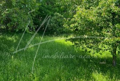 Teren intravilan 1740 mp. cu casa intabulata in PH-PROVITA DE SUS - 6