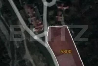 Teren 5.800 mp cu utilita?i ?i construc?ii existenteOportunitate de investi?ie! - 5