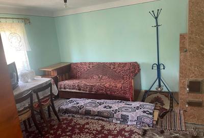 Casă cu 2 camere în Alimpești - 7