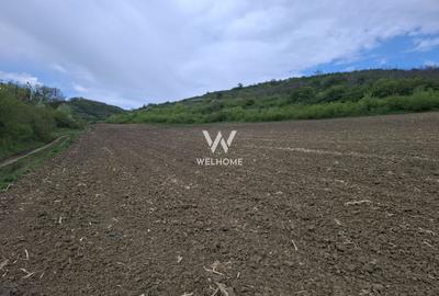 Teren agricol extravilan de 18175 mp, în Gușterița - 1