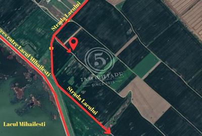 Teren agricol intravilan, Cornetu, Ilfov – 4.472 mp - 4