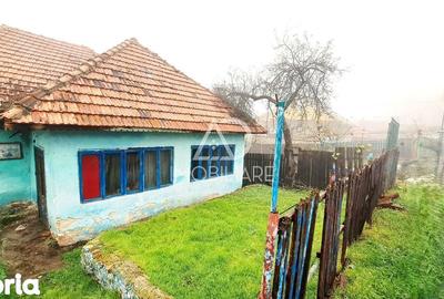 Casă cu 4 camere cu Teren 716 Mp în Baia de Fier - 8