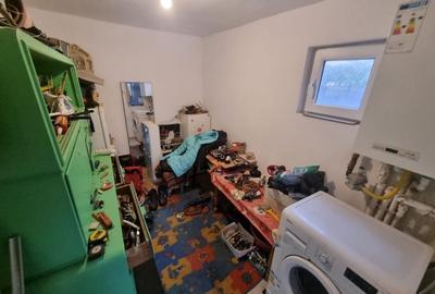 Delfinariu -casa de caramida - 17