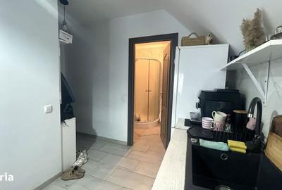 Apartament cu 2 camere semidecomandat în Făget - 6