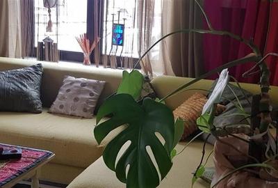 FILM! In Bohemian Style, loc parcare, curte proprie,vedere panoramica, Cartiieru - 15