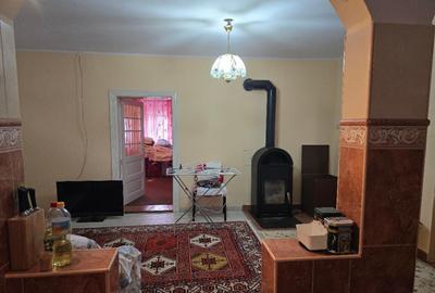 Casă cu 5 camere cu Teren 3040 Mp în Tămășeu - 4