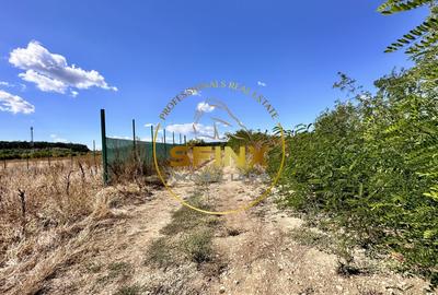 Corbeanca 5000 mp, deschidere 22 m la Drum asfaltat, padure, utilitati la limita Corbeanca 5000 mp, deschidere 22 m la Drum asfaltat, padure, utilitati la limita - 6