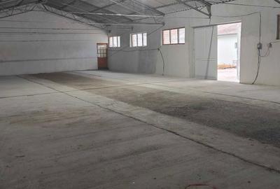 Casă cu 2 camere cu Teren 50 Mp în Curtișoara - 3