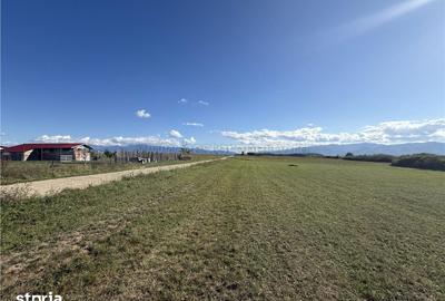 Teren de 5300 mp, în Șelimbăr - 12