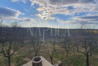 Casă individuală cu 4 camere cu Canalizare în Calea Mare - 10