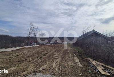 Teren de 1500 mp, în Albota - 1