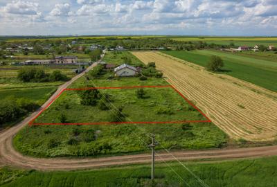 FRUMUSANI - POSTAVARI, TEREN 1500 MP, FRONT 30 M ! - 8