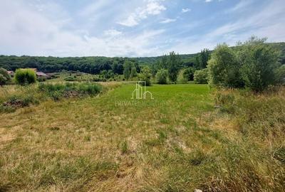 Teren 5200 Mp, Corunca, strada Primăriei - 3
