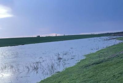 Teren de 120000 mp, în Drăgănești-Vlașca - 4