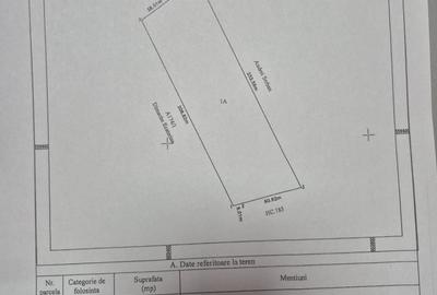 Spațiu comercial, în Nuci - 1