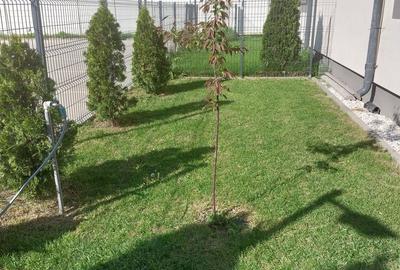 Apartament cu 2 camere decomandat în Central - 4