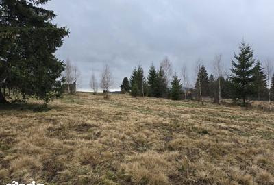 Teren de 3000 mp, în Dorna-Arini - 4