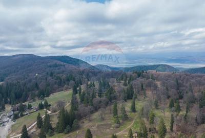 Teren Construcții intravilan de 1000 mp, în Poiana Brașov - 2