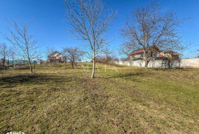 Spațiu comercial, în Poplaca - 6