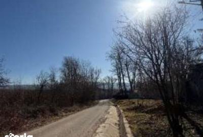 Teren de 2304 mp, în Zăpodeni - 2