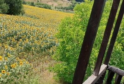 Casă cu 5 camere cu Teren 500 Mp în Mărăcineni - 4