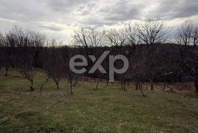 Teren de 3052 mp, în Drăganu - 5
