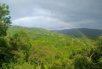 Casă tip cabană, structură solidă, 122mp, priveliște superbă - 10