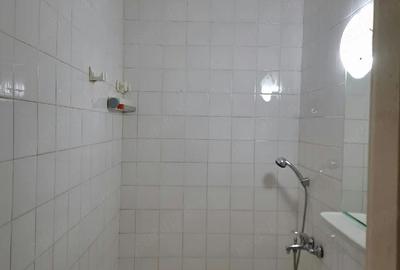 Apartament cu 2 camere decomandat în Elisabetin - 5