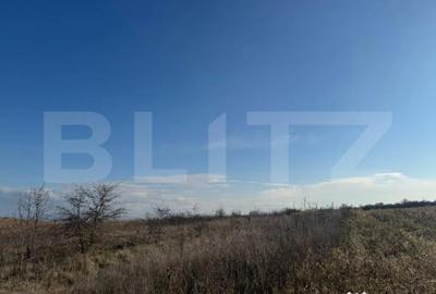 Teren de 1700 mp, în Zăvoi - 1