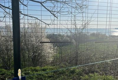 Casă cu 4 camere cu Teren 400 Mp în Central - 7