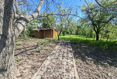 Casă cu 2 camere în Cernica - 6