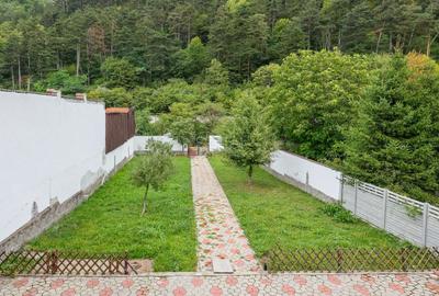 Proximitate imediata fata de Castelul Bran - 6