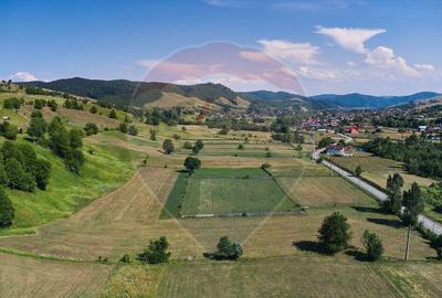 Teren Manastirea Humorului / Strada Principala 22,238 MP - 3