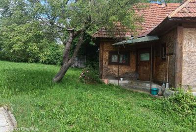 Casă cu 3 camere în Breb - 4