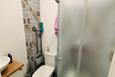 Apartament cu 3 camere decomandat, mobilat în Rahova - 15