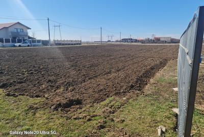 Teren Construcții intravilan de 632 mp, în Vadu Anei - 3