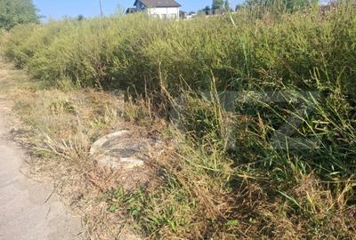 Teren de 5000 mp, în Bungetu