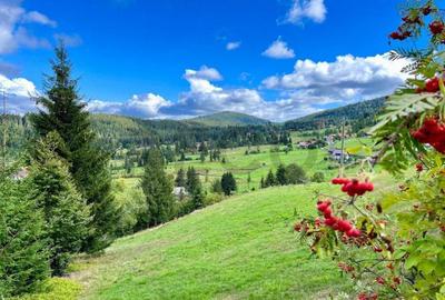 RECO Teren intravilan in Arieseni - 5