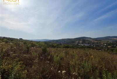 Teren extravilan zona - 3