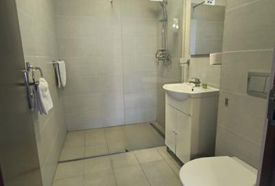 Hotel de inchiriat Parter + 2 Etaje + Mansarda, 19 camere, zona Brancoveanu - 20