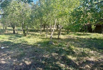 Casă cu 4 camere în Tătărani - 5